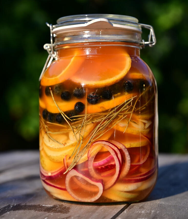 Fermentatie gemberbier gingerbug